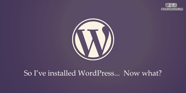 Wordpress 网站优化 网站安全性