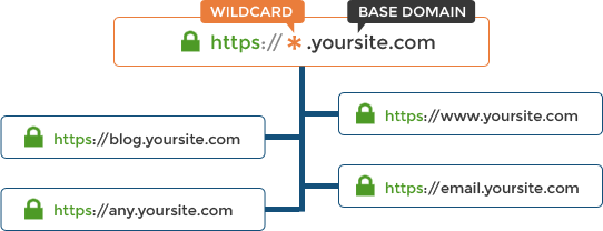 便宜的通配符SSL证书用于无限子域名和服务器(图1)